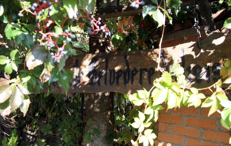 Dove tradizione ed innovazione s’incontrano, il Ristorante Belvedere 1919