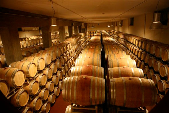 Casimiro Maule e la Nino Negri: 45 anni di storia del vino valtellinese