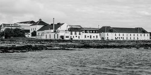 Il fiore di Scozia nel bicchiere