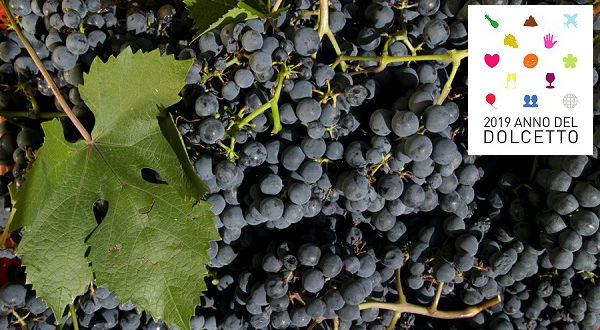 2019 Anno del Dolcetto: il vitigno storico piemontese con 3 DOCG e 9 DOC