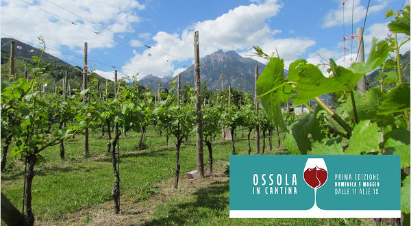 Cantine aperte in Val d’Ossola con “Ossola in Cantina”