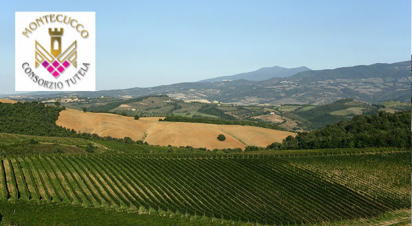 Il Consorzio Tutela Vini Montecucco vola negli Stati Uniti