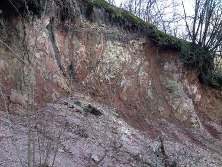 Vini vulcanici: i suoli del Boca DOC