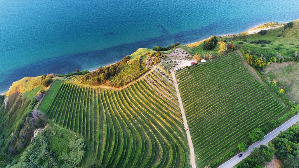 Fattoria Mancini: il pinot nero napoleonico sulle scogliere di Focara