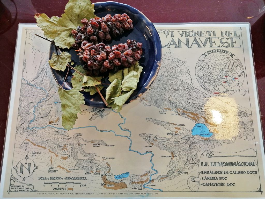 L’erbaluce di Ilaria Salvetti