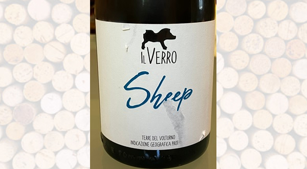 Il Verro – Sheep – Terre del Volturno IGP Bianco – 2022