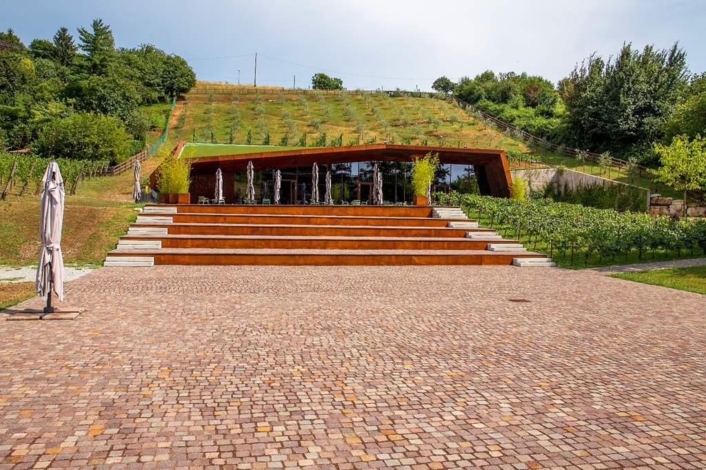 Il Moscato di Scanzo DOCG e la Cantina Martinelli: là dove un tempo c’era il mare