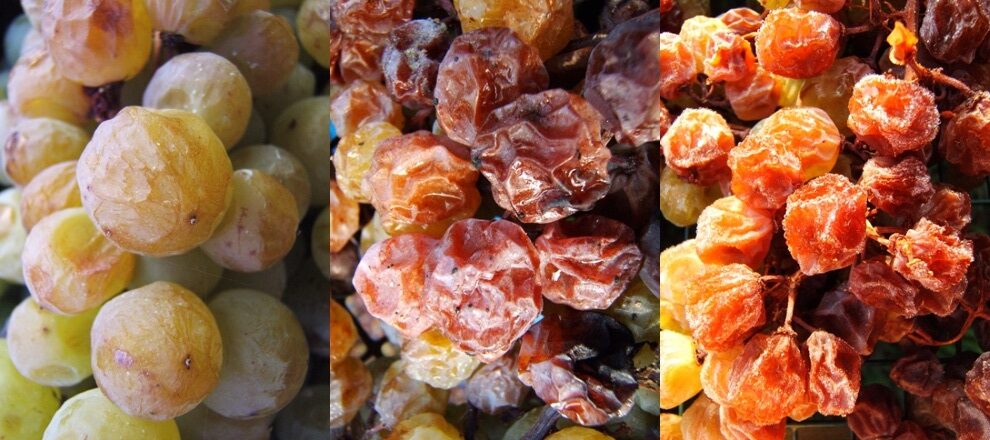 Il Moscato Passito di Strevi: la nobiltà della storia