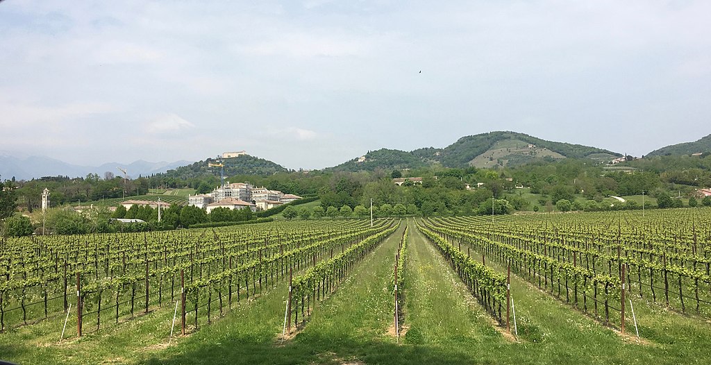 Recantina Montello e Colli Asolani