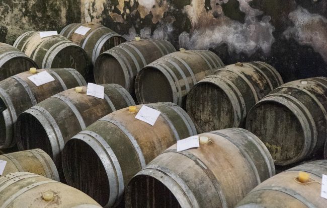 Stefano Menti Gambellara garganega