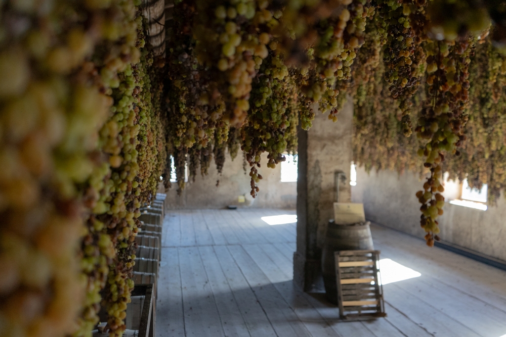 Gambellara e Stefano Menti: garganega, vulcani e biodinamica