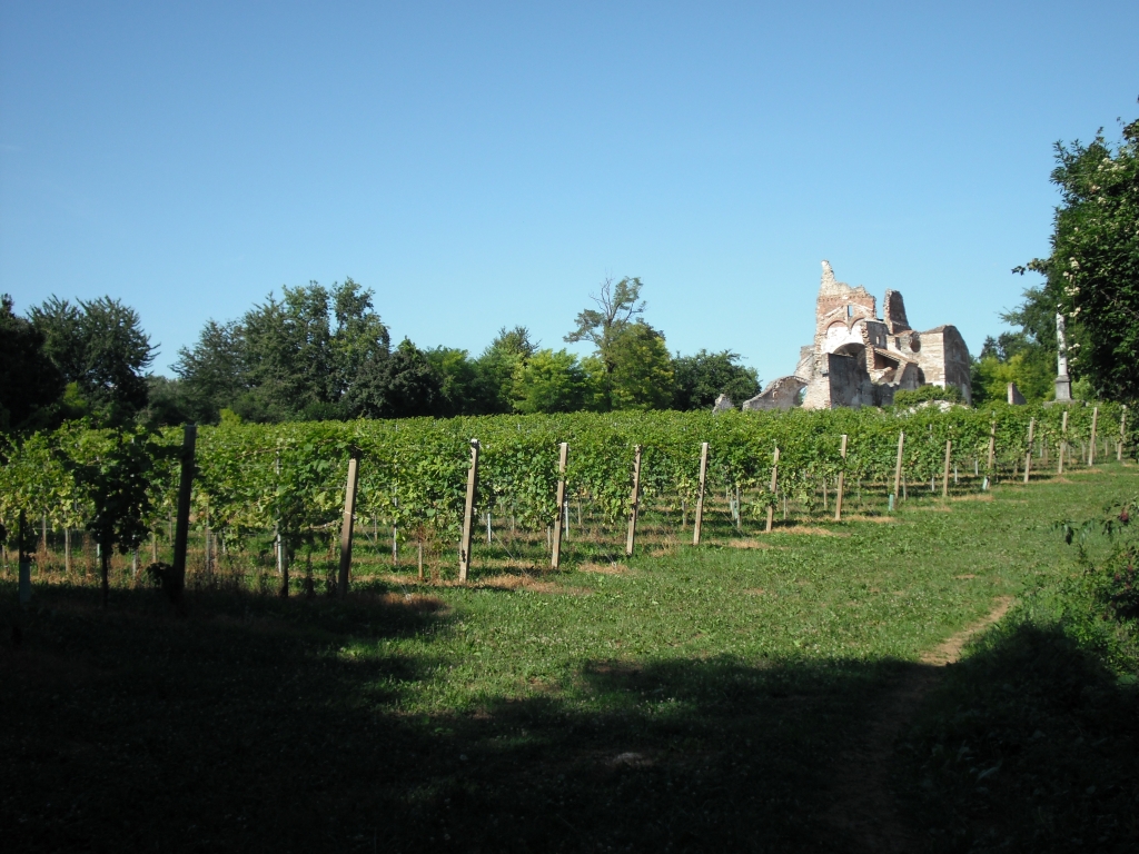 Recantina Montello e Colli Asolani