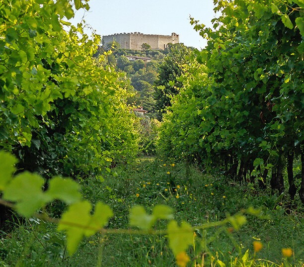 Recantina Montello e Colli Asolani