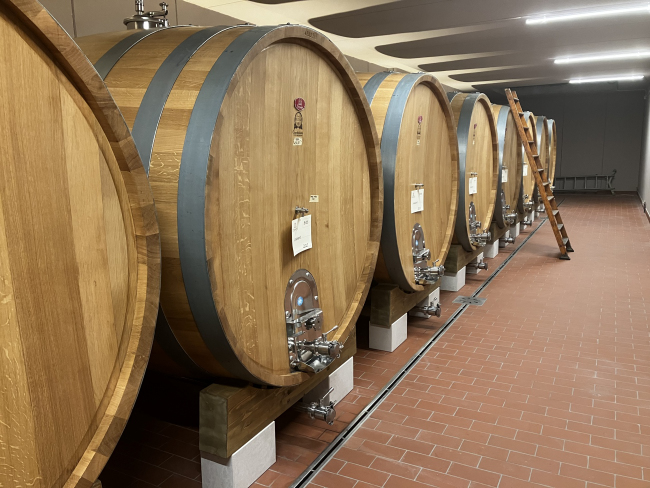 Le botti grandi di Tedeschi Wines