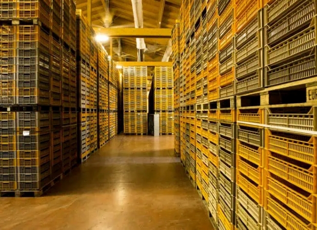 L'appassimento in fruttaio Tedeschi Wines