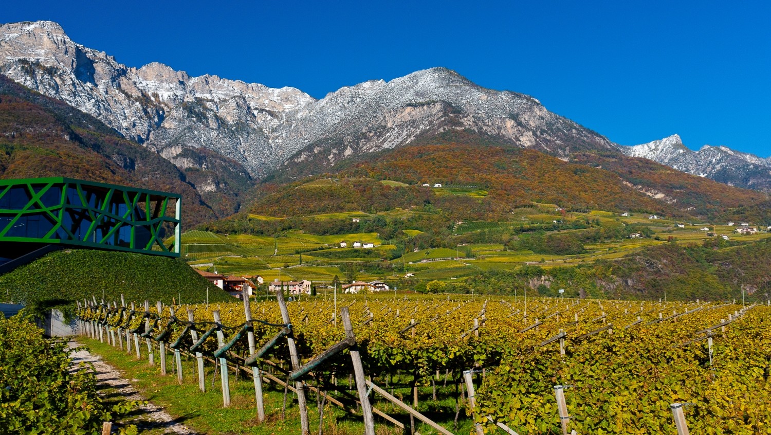 Le Cantine Sociali: la loro storia dal Piemonte al resto d’Italia