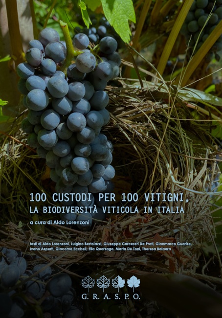 100 custodi per 100 vitigni