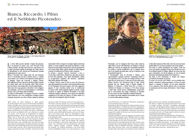 100 custodi per 100 vitigni