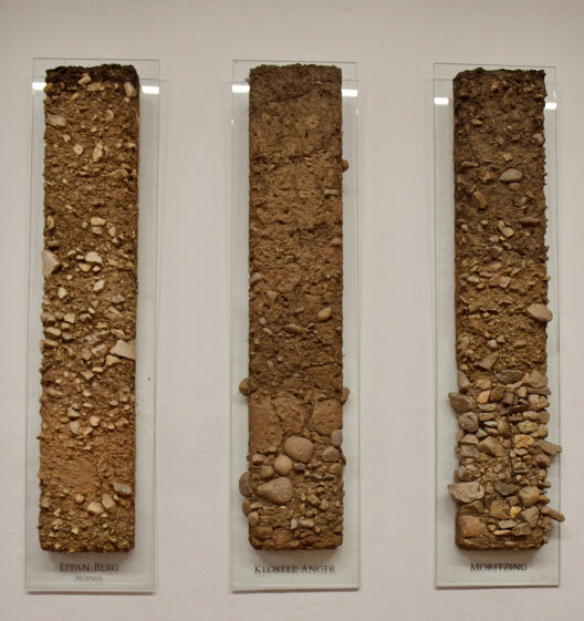 Campioni di terreno esposti in teche trasparenti che mostrano la composizione pedologica dei vigneti di Eppan Berg, Kloster Anger e Moritzing