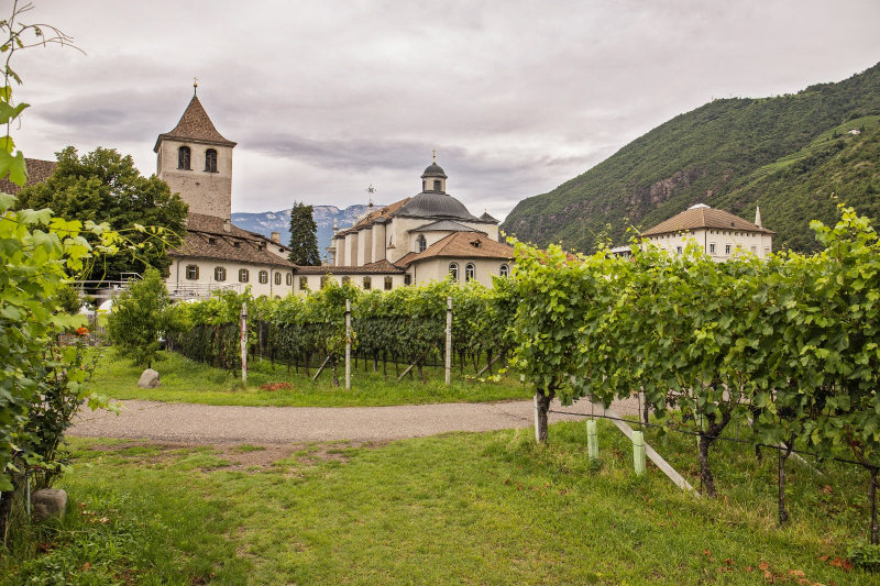 Vista panoramica dell'Abbazia Muri Gries con torre campanaria, cupola della chiesa e vigneti in primo piano circondati dalle montagne altoatesine