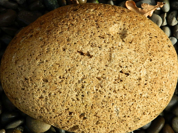 Roccia vulcanica vescicolata di colore brunastro - esempio di pietra pomice dell'Etna che caratterizza i suoli vulcanici dei vigneti etnei che arricchiscono la mineralità nel vino di questo vulcano