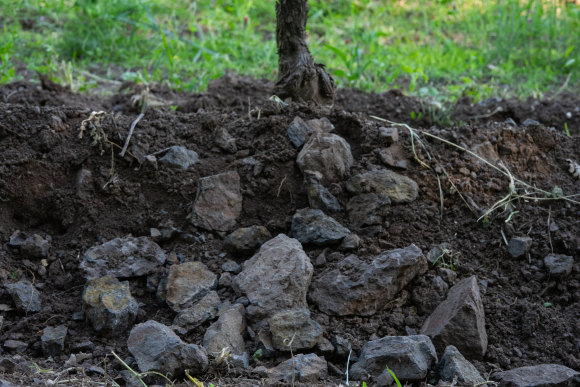 Suolo vulcanico scuro con frammenti di roccia basaltica, che influenzano la mineralità nel vino della DOC Gambellara a base di garganega