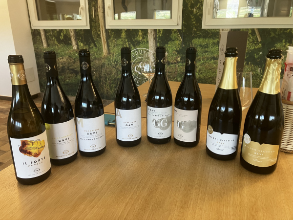 I vini dei Produttori del Gavi degustati nel corso della mia visita