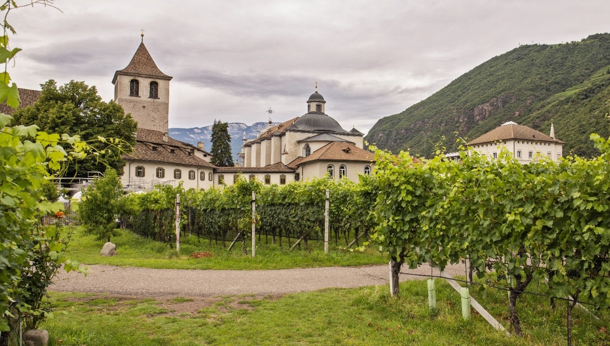 Muri Gries, l’abbazia diventata cantina