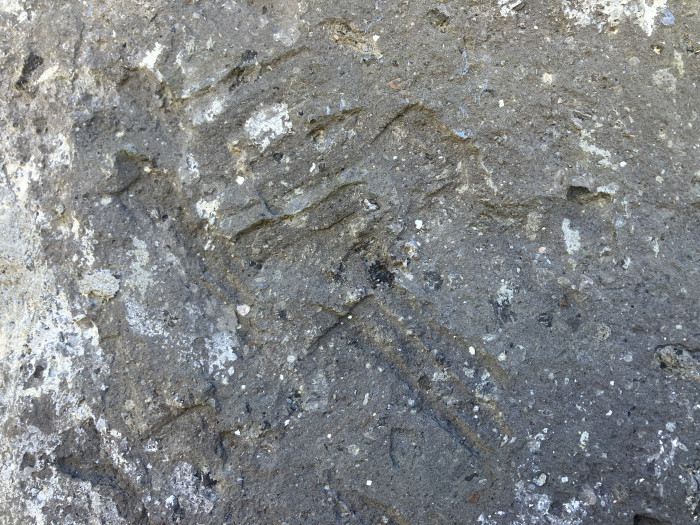 Un dettaglio della struttura della pietra forte