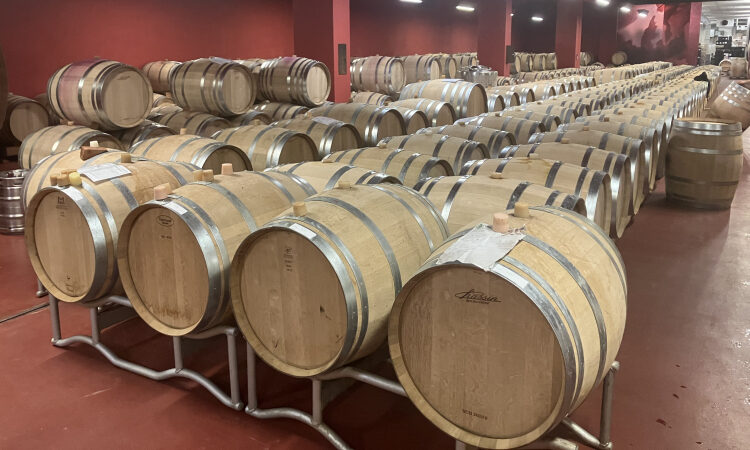 La barricaia di Cantina Tramin con alcune barrique T5 di Taransaud