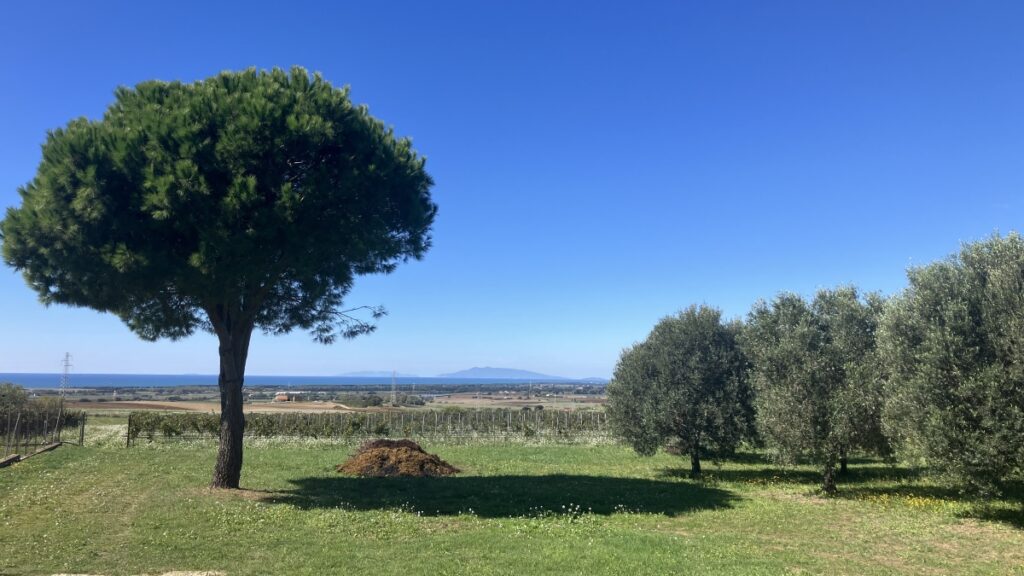 Il panorama dall'Azienda Muscari Tomajoli