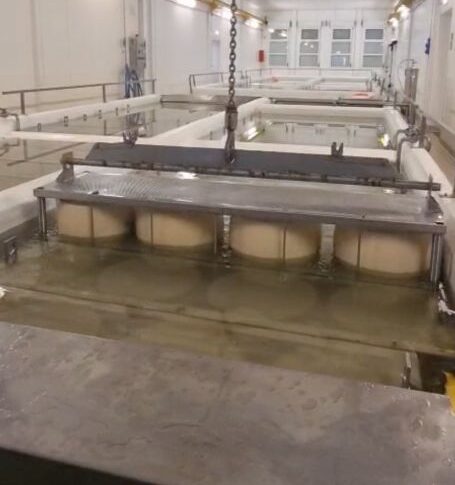 La salatura delle forme di Parmigiano Reggiano DOP