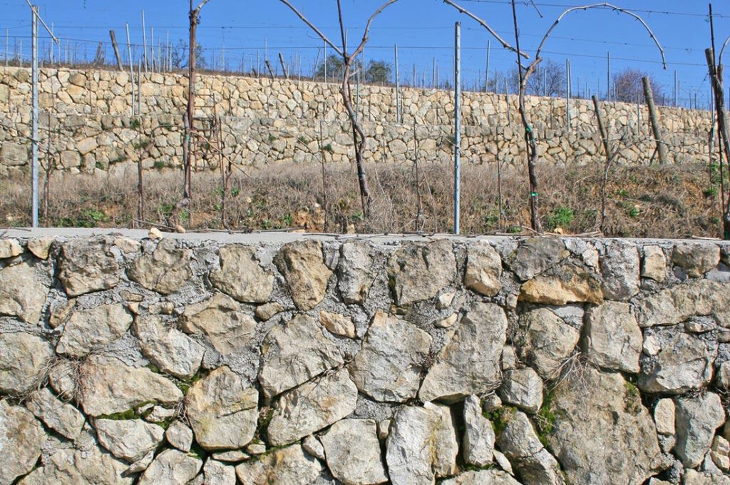 I muretti di sostegno delle marogne di Rubinelli Vajol