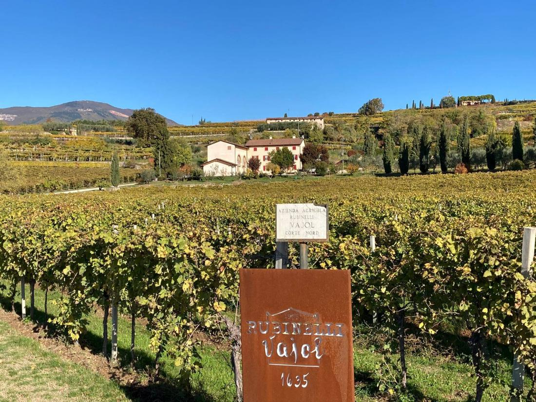 Rubinelli Vajol e la Valpolicella: la sintesi tra buono e bello