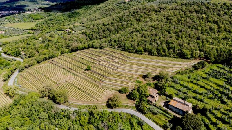 La Vigna delle Sanzioni
