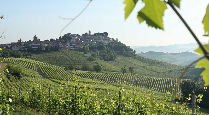 Comm. G.B. Burlotto: un’icona di Verduno tra storia e Langhe