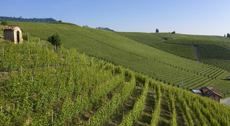 Comm. G.B. Burlotto: la vigna di Cannubi