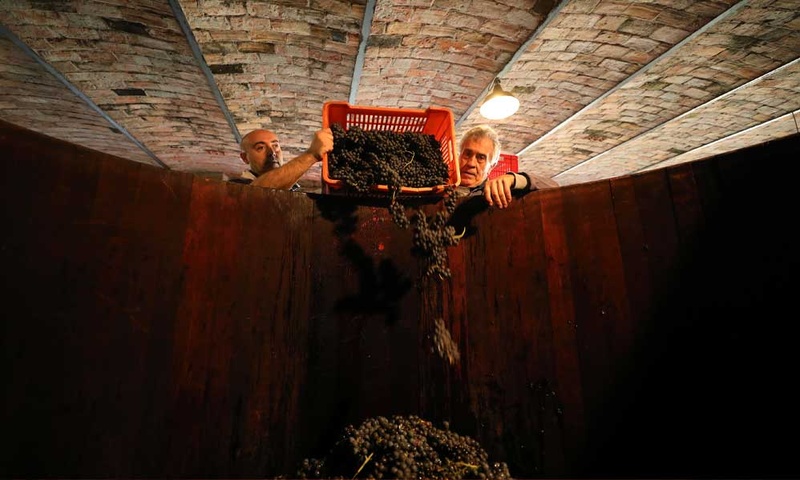 Comm. G.B. Burlotto: Giuseppe e Fabio Alessandria