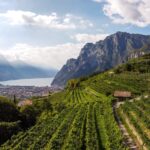 Agraria Riva del Garda: il Trentodoc tra lago e Alpi