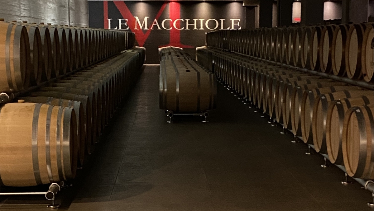 Le Macchiole: le nuove annate in anteprima