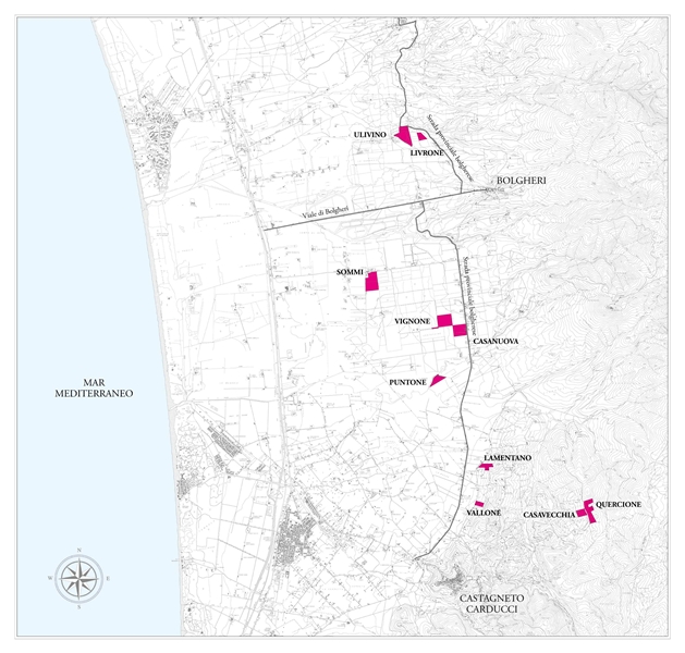 Le Macchiole: la mappa delle loro vigne