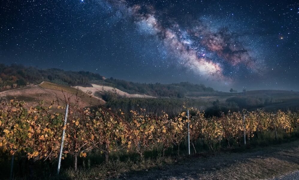 Langhe e letteratura: una vigna di notte