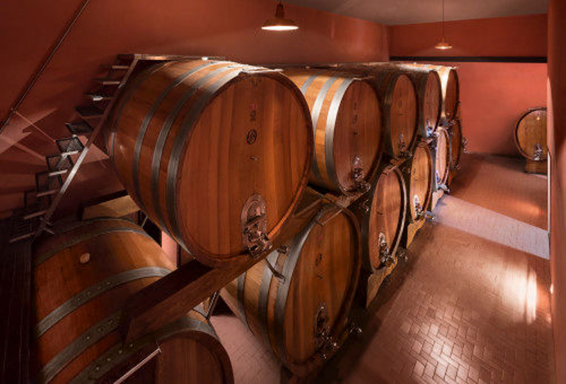 Picoola Emma Barbaresco DOCG Riserva: le botti per il suo affinamento