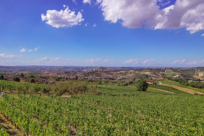 Panorama dalle vigne di Gianni Doglia
