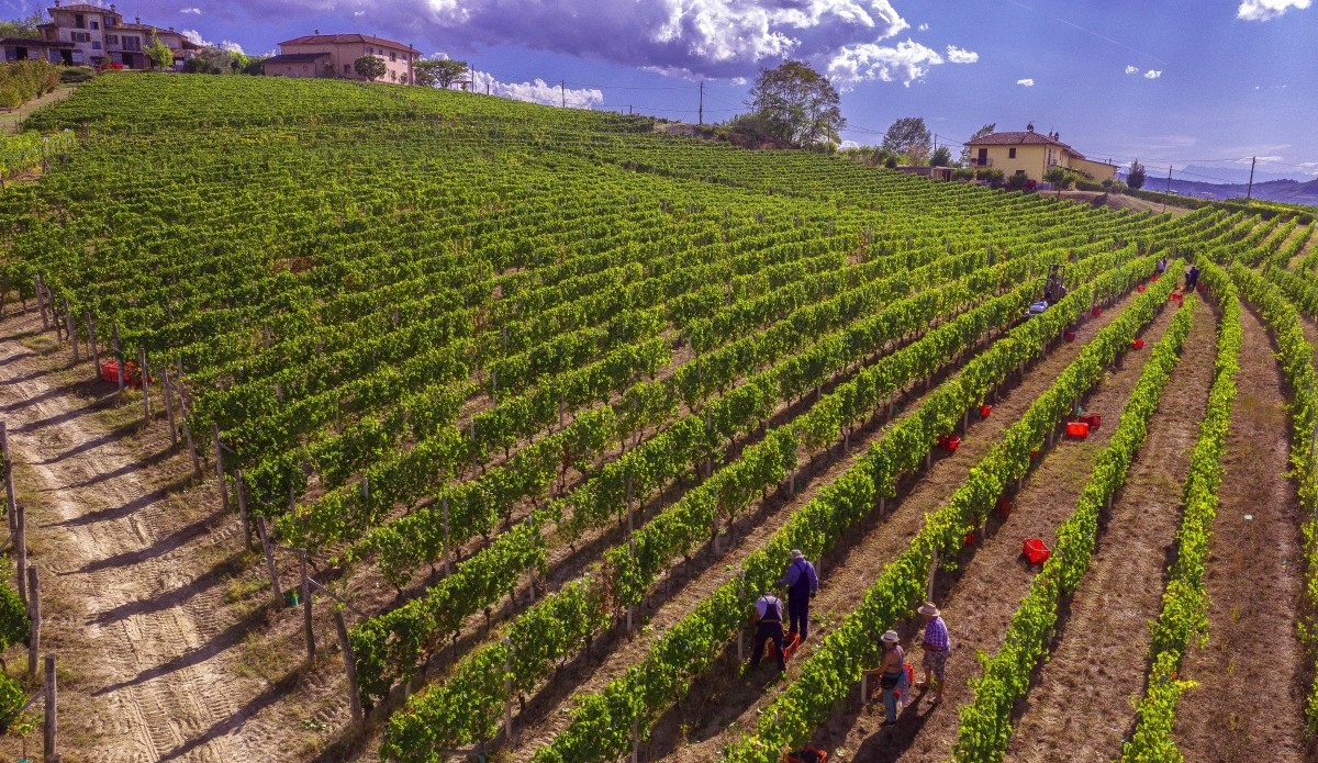 Gianni Doglia: tre generazioni con il vino nel cuore