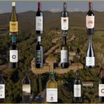 Bolgheri in Villa e le sue eccellenze