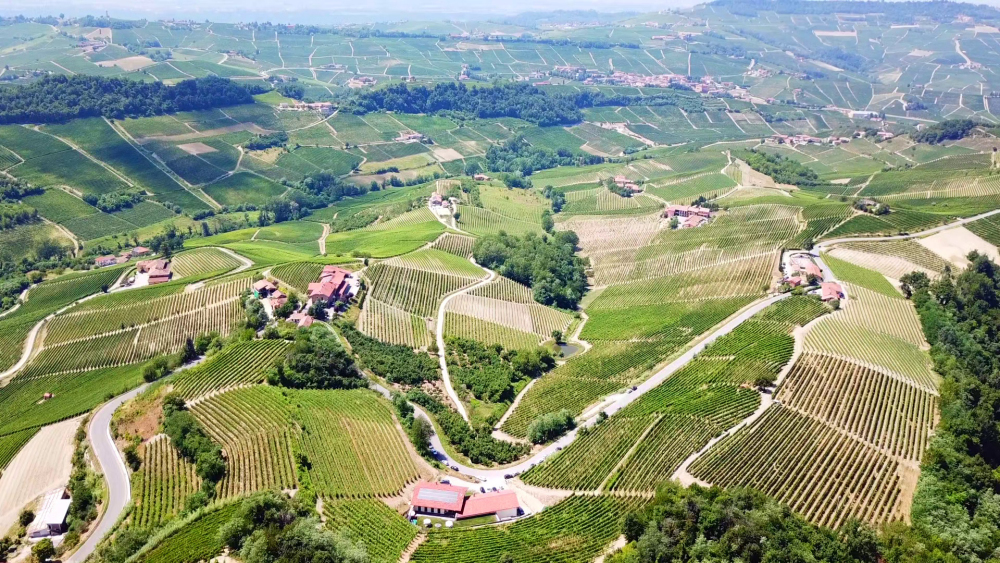 Silvano Bolmida: Bussia