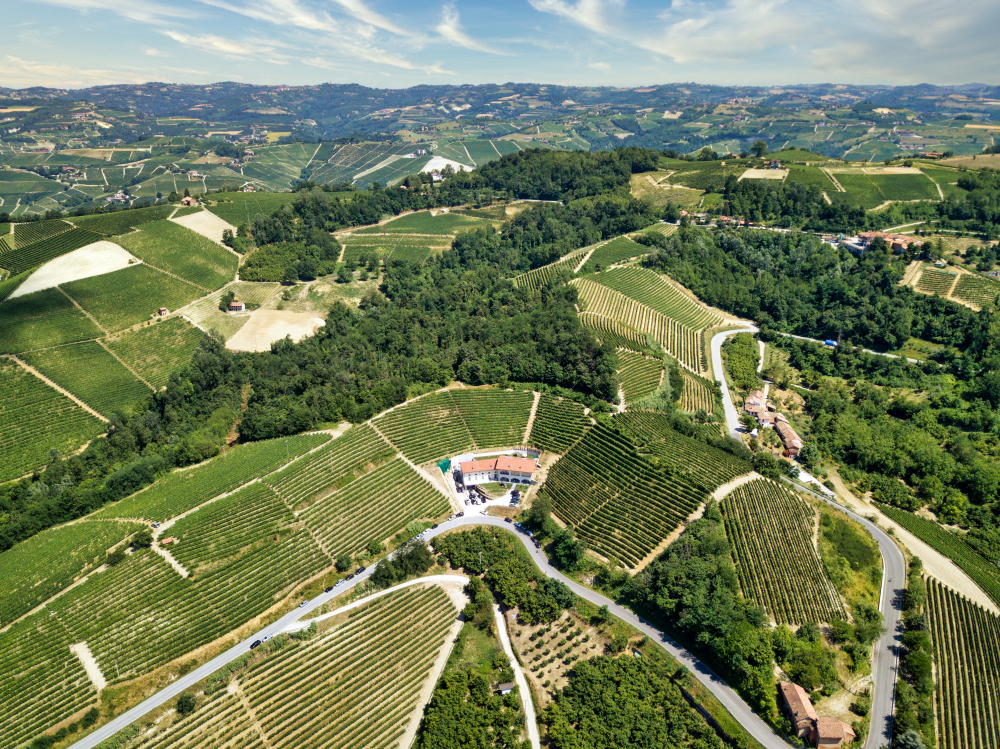 Silvano Bolmida: panorama sulle Langhe