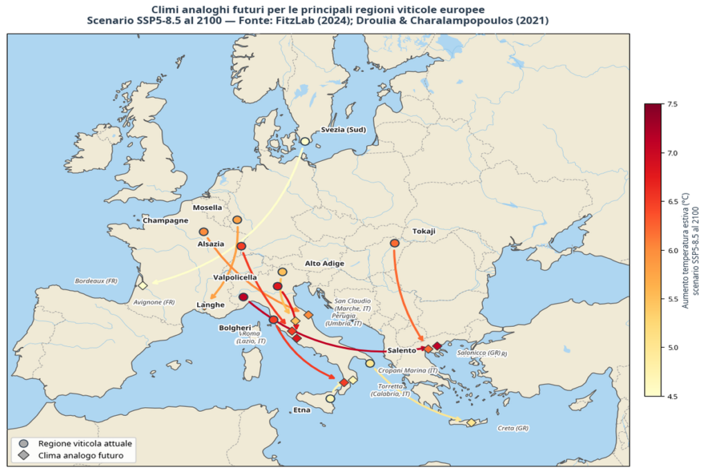Cambiamenti nella vitivinicoltura europea a causa del riscaldamento globale