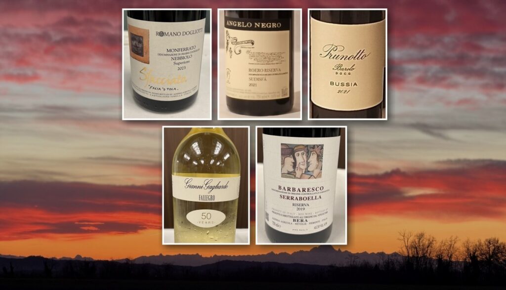 Barolo, Barbaresco & Roero: il Monviso e le etichette degustate